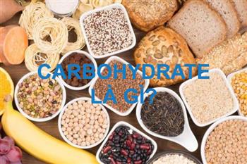 Carbohydrate là gì? Vì sao cần thiết cho cơ thể