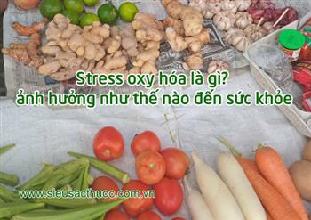 Stress oxy hóa là gì? ảnh hưởng như thế nào đến sức khỏe Stress oxy hóa là gì? ảnh hưởng như thế nào đến sức khỏe